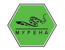 Мурена